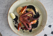 Octopus Tentacle
