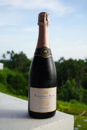 Raventos I Blanc de Nit Rosé